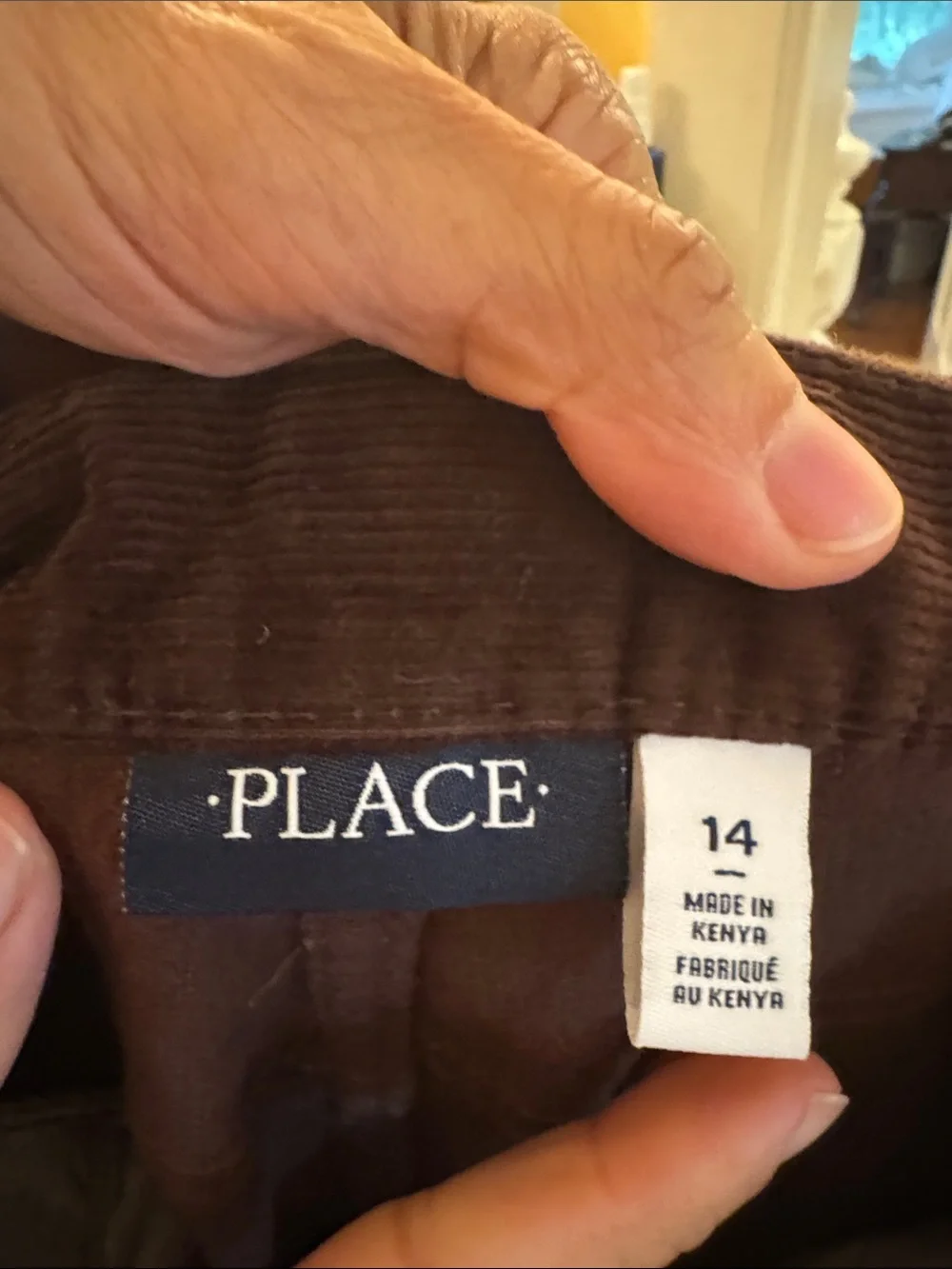 The Children's Place Brown Corduroy Pants